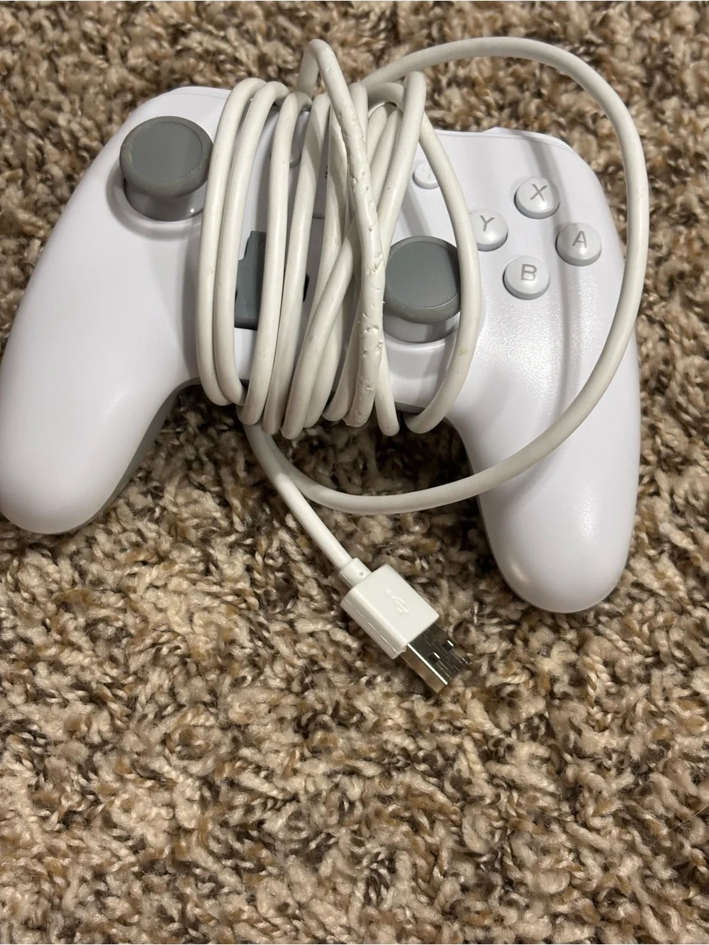 Nintendo wired controller